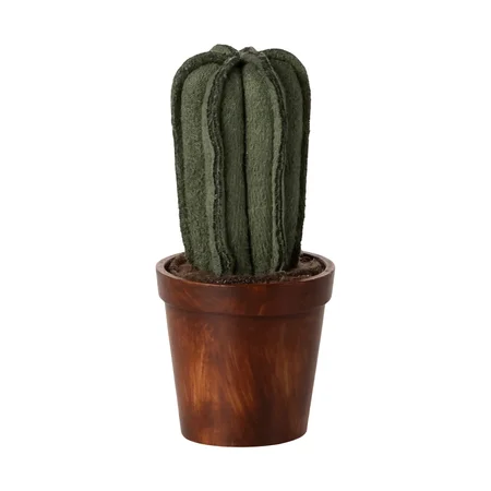 Maileg Krug mit Kaktus