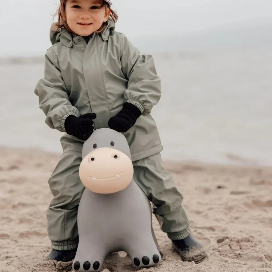 Find that hippo Hoppedyr, Flodhest