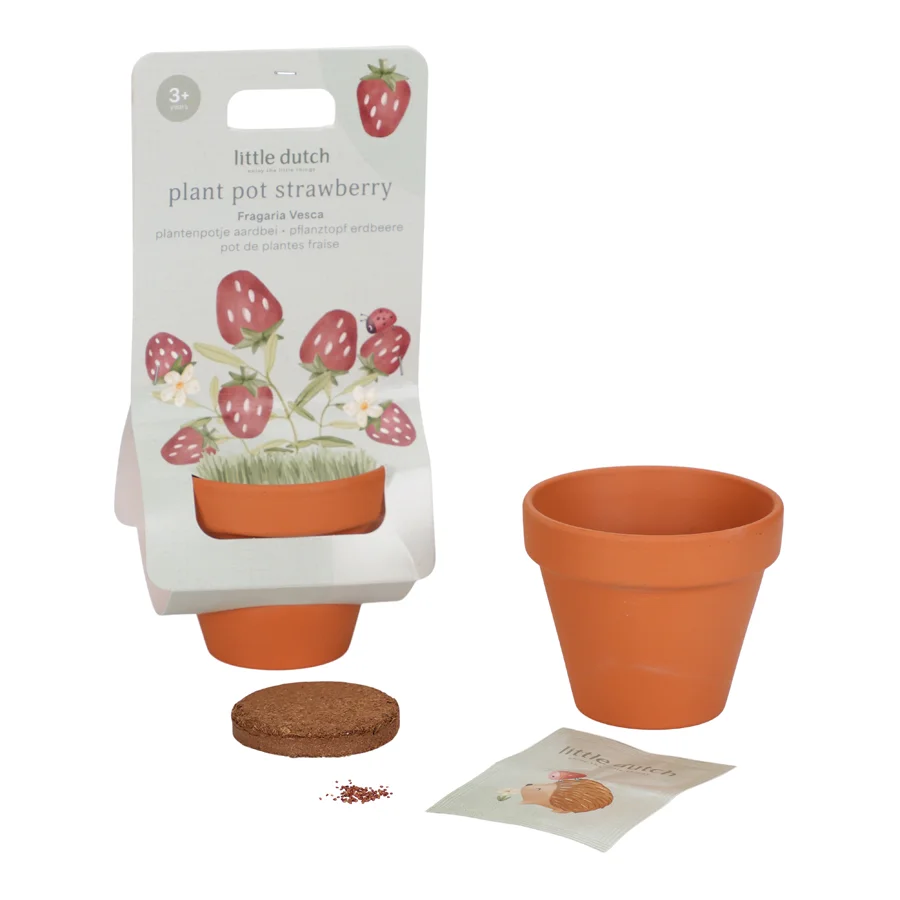 Little Dutch Potte med Frø, Jordbær