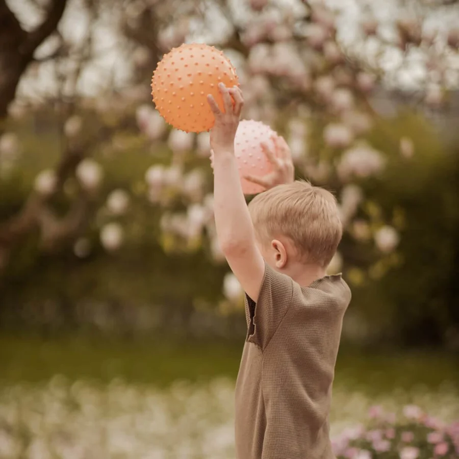 Find That Hippo 2 Sensorikbälle, Buff/Rosy Brown