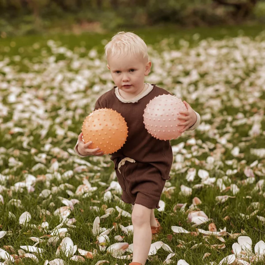 Find That Hippo 2 Sensorikbälle, Buff/Rosy Brown