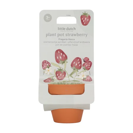 Little Dutch Potte med Frø, Jordbær