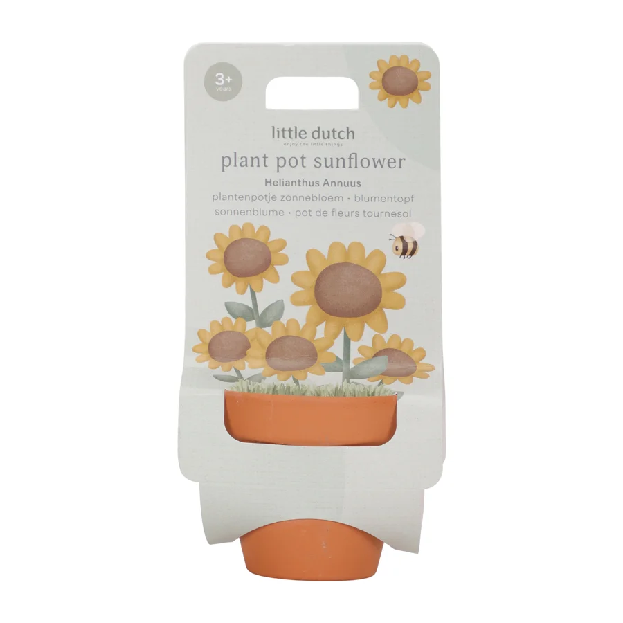 Little Dutch Potte med Frø, Solsikke