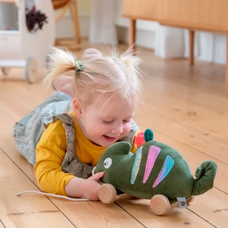 Sebra trækdyr, kamæleonen Carley