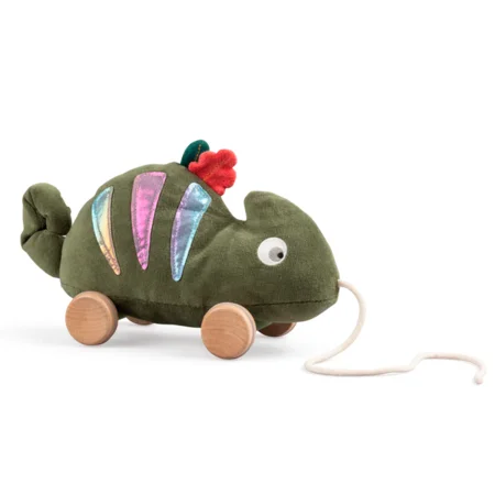 Sebra trækdyr, kamæleonen Carley