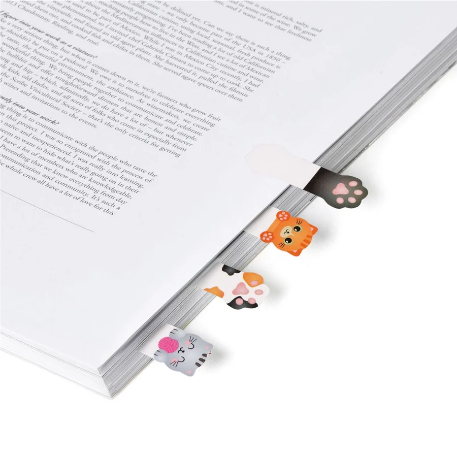 Mærkefaner, Keep In Mind - Kitty