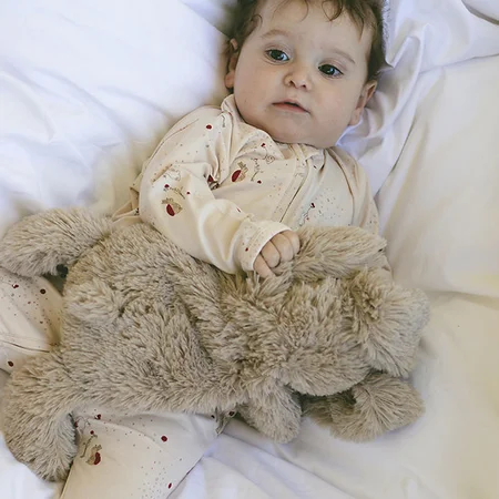 Thats mine Gewicht-Kaninchen, Houston Heavy teddy small