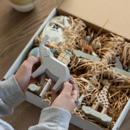 Sebra Geburtstagszug aus Holz, World of Sebra