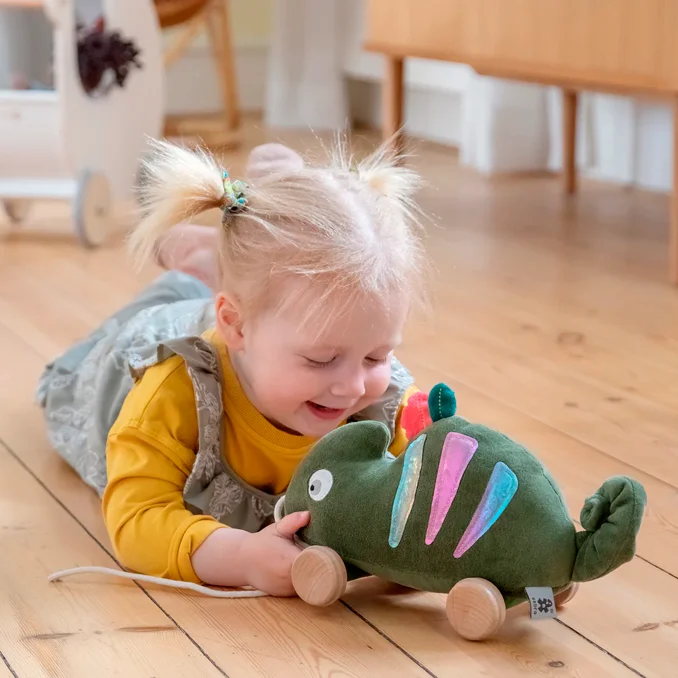 Sebra trækdyr, kamæleonen Carley