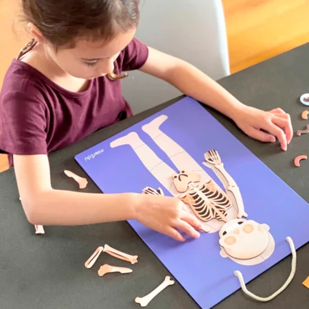 MierEdu magnetisk legesæt, lær om kroppens funktioner