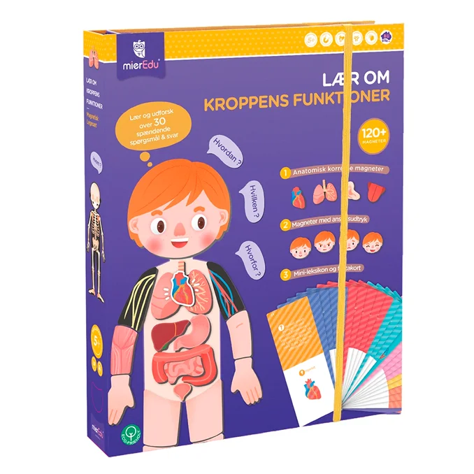 MierEdu magnetisk legesæt, lær om kroppens funktioner