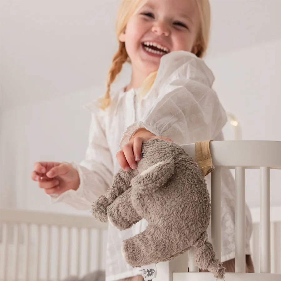 Sebra musikuro, fanto grey