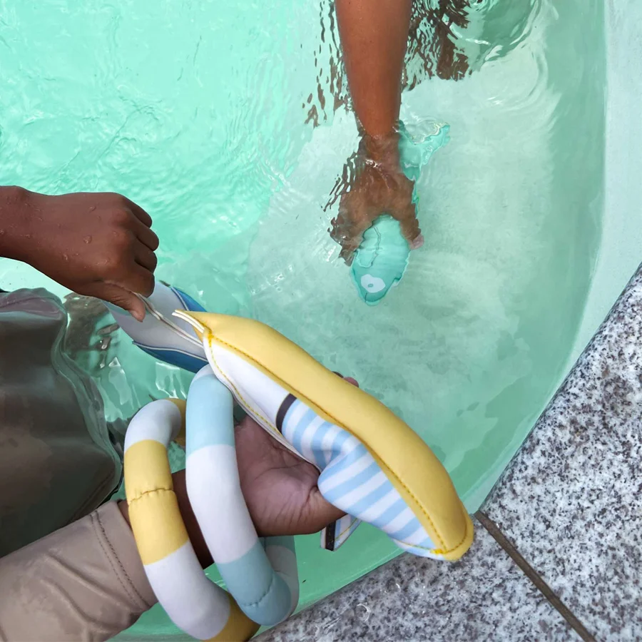 Sunnylife 6-pak dykke-buddies, havmågen Sid