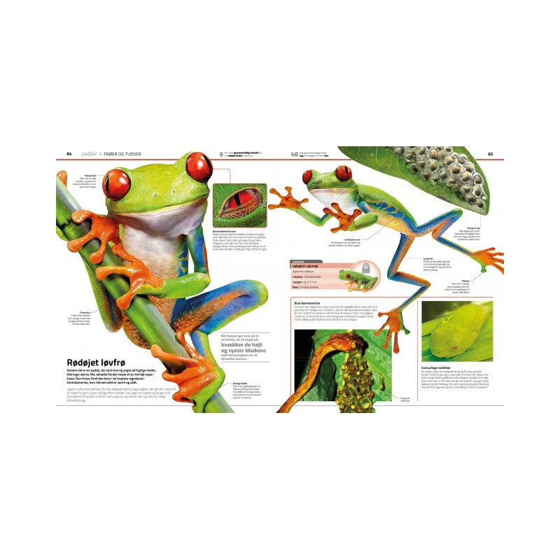 Familiens store bog om dyreriget!