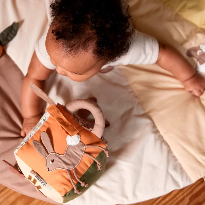 Filibabba aktivitetsterning, carrot thief