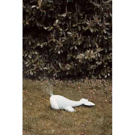 Konges Sløjd hval havesprinkler