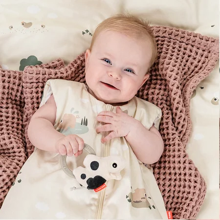 Done by Deer Rassel mit Beißring