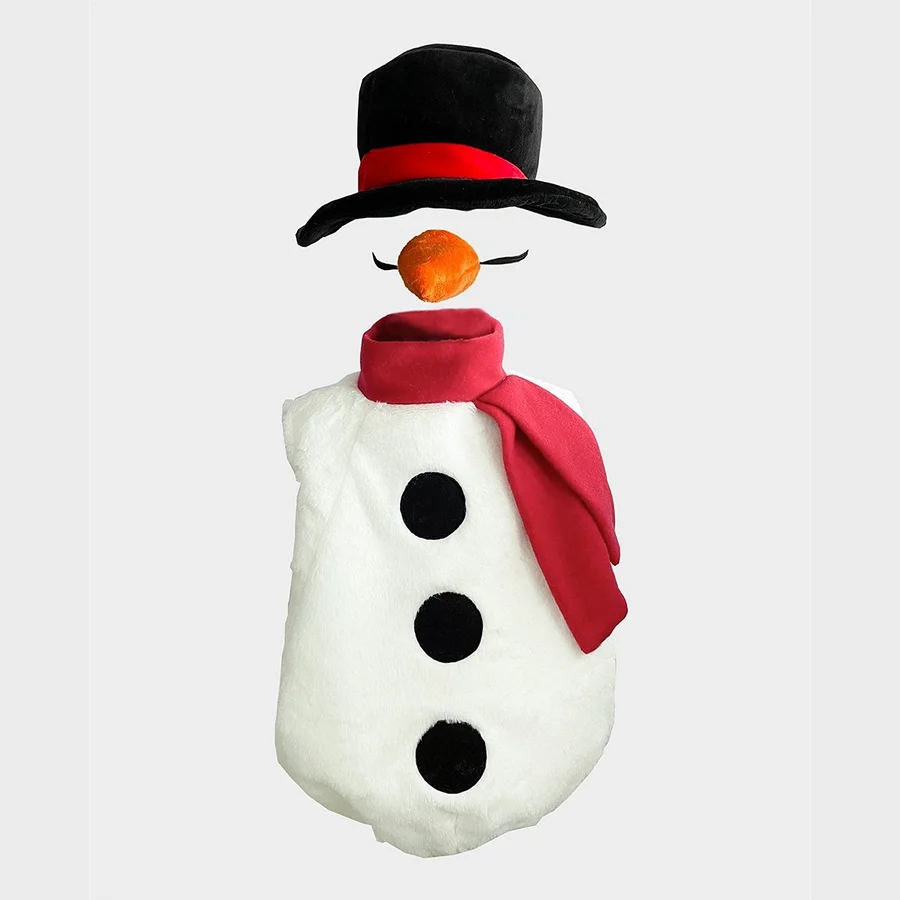 Den Goda Feen Verkleidung, Schneemann