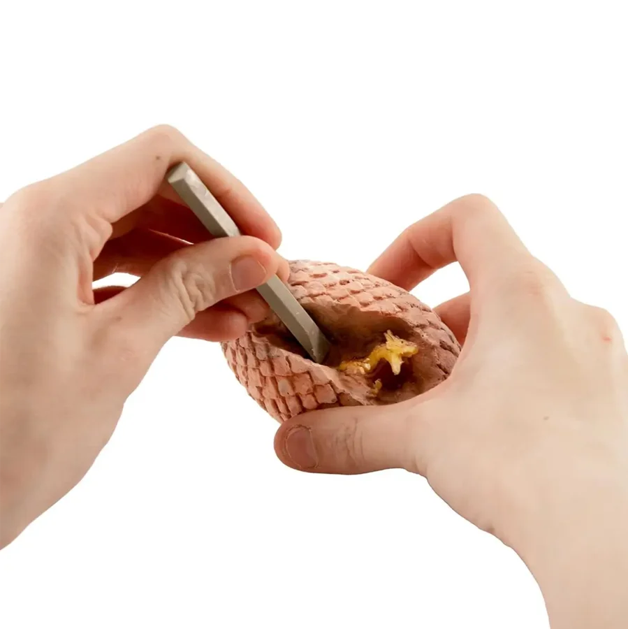 I Dig It! Dragons Udgravning, Asst.