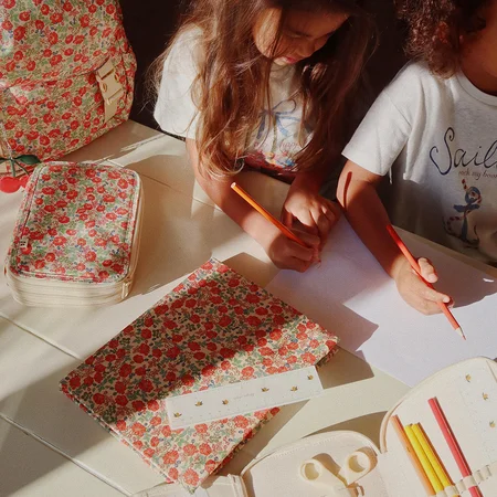 Konges Sløjd Clover Penalhus Kaluka