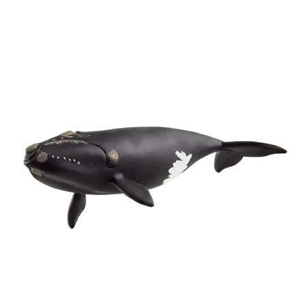 Schleich Nordkaper hval