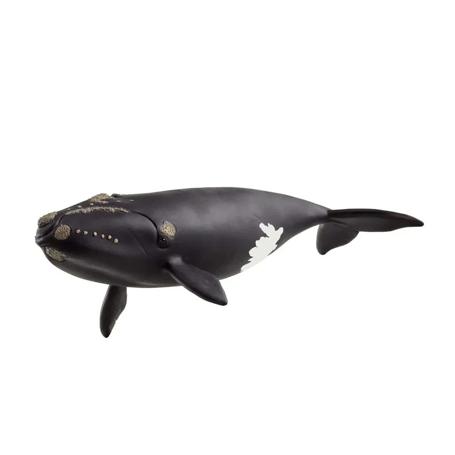 Schleich Nordkaper hval