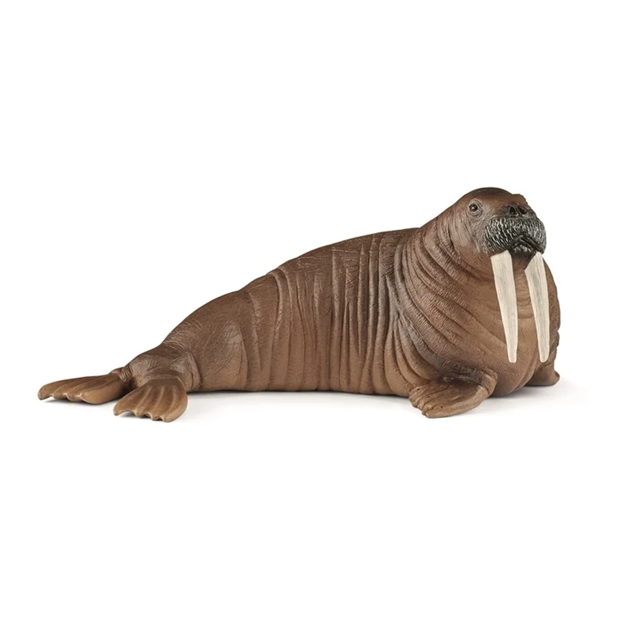 Schleich dyr, hvalros