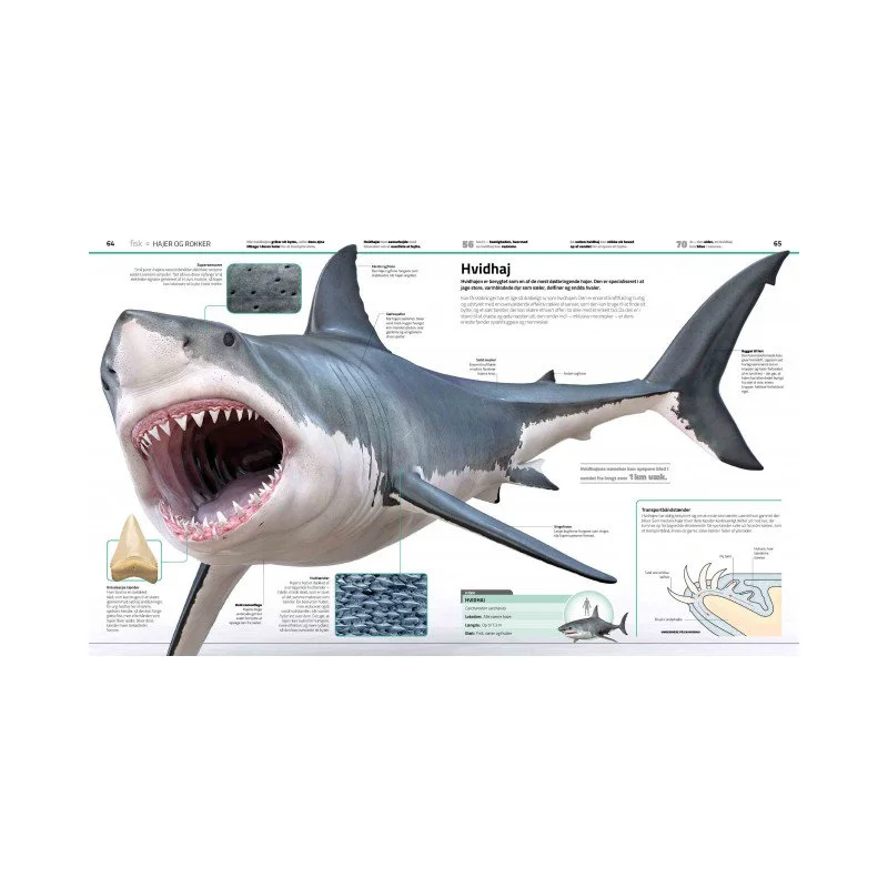 Familiens store bog om dyreriget!