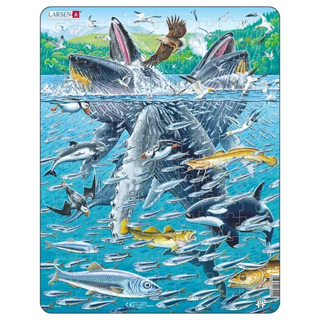 Larsen puslespil, pukkelhvalen i sildskole - 140 brikker