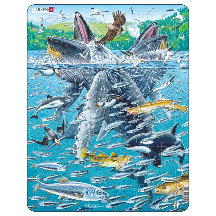 Larsen puslespil, pukkelhvalen i sildskole - 140 brikker
