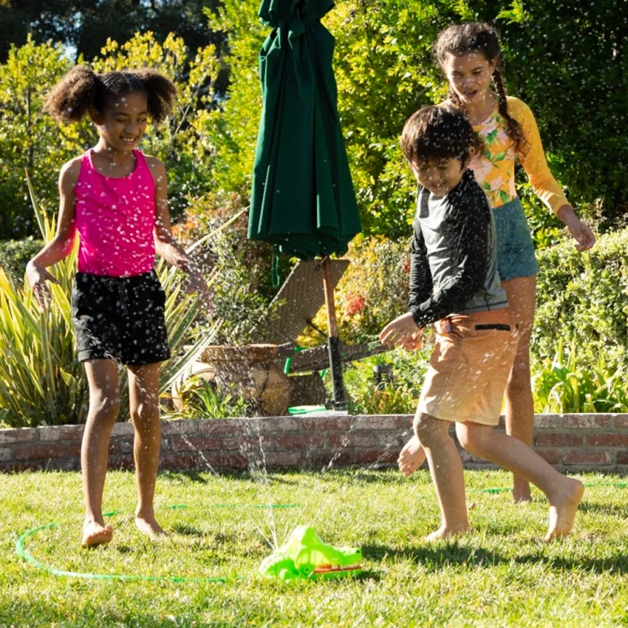 Krokodille tandlæge til vandleg