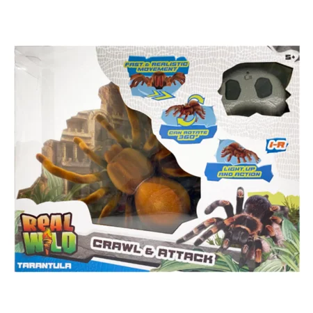 REAL WILD, IR Gigantisk edderkop