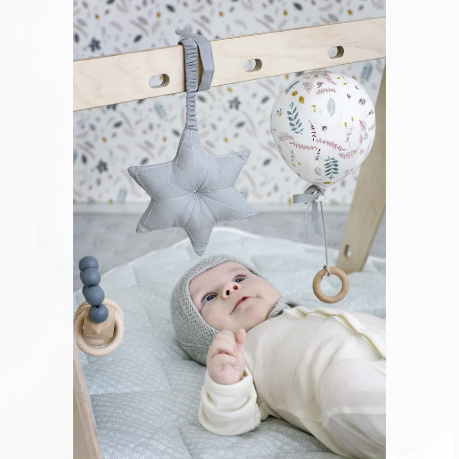 Cam Cam aktivitetsophæng, grå stjerne