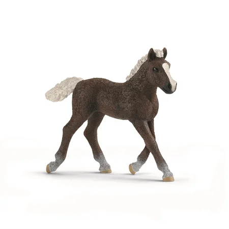 Schleich dyr, Schwarzwälder - føl