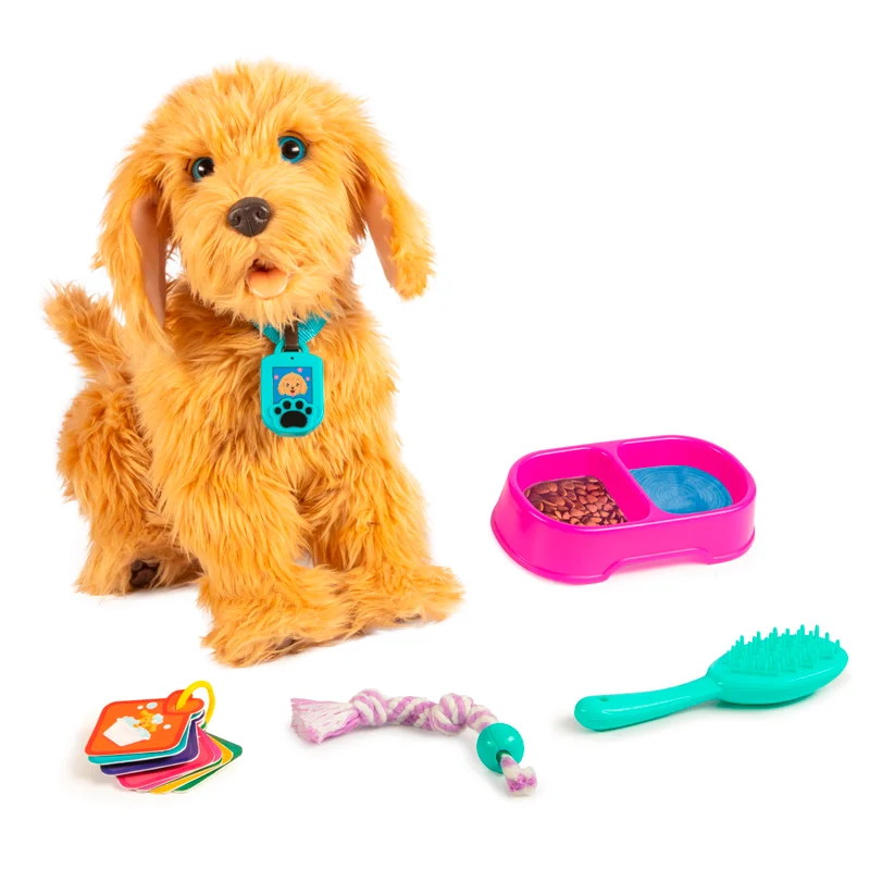 Labradoodlen Moji, interaktiv hund