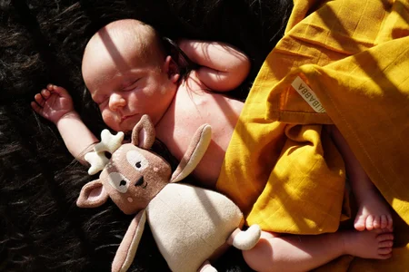 Filibabba bamse, Bea Bambi