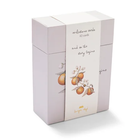 Konges Sløjd milestones kort