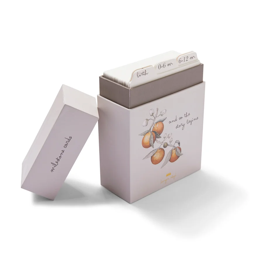 Konges Sløjd milestones kort