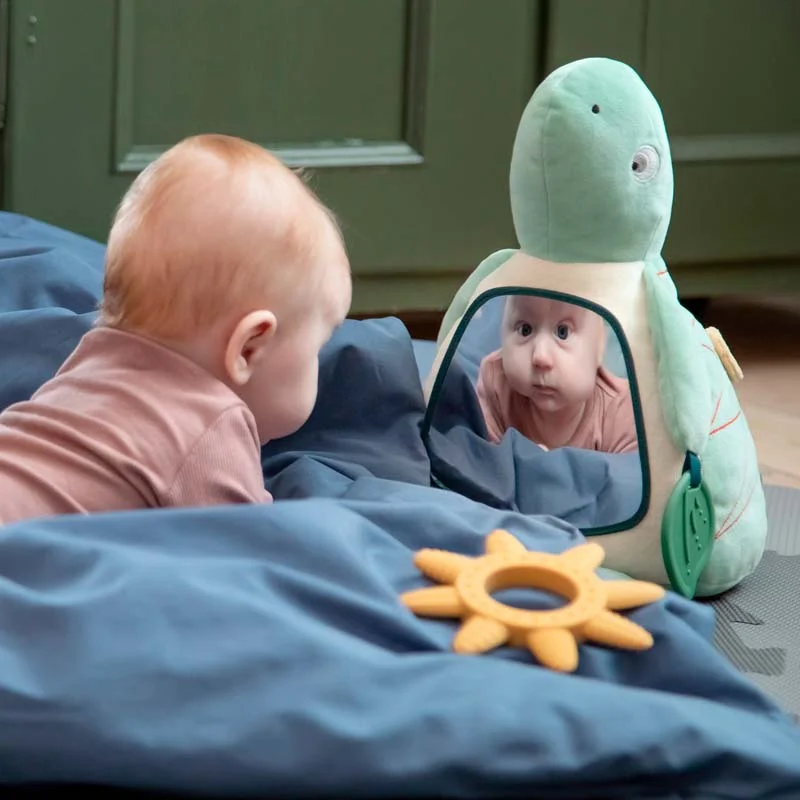 Sebra Aktivitetslegetøj, skildpadden Turbo