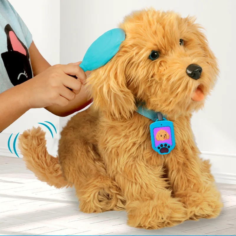 Labradoodlen Moji, interaktiv hund