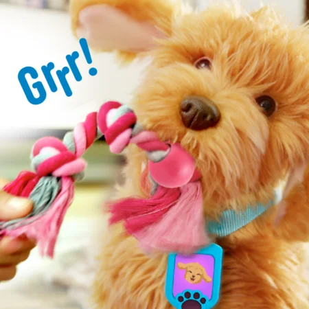 Labradoodlen Moji, interaktiv hund