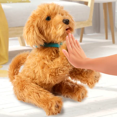 Labradoodlen Moji, interaktiv hund