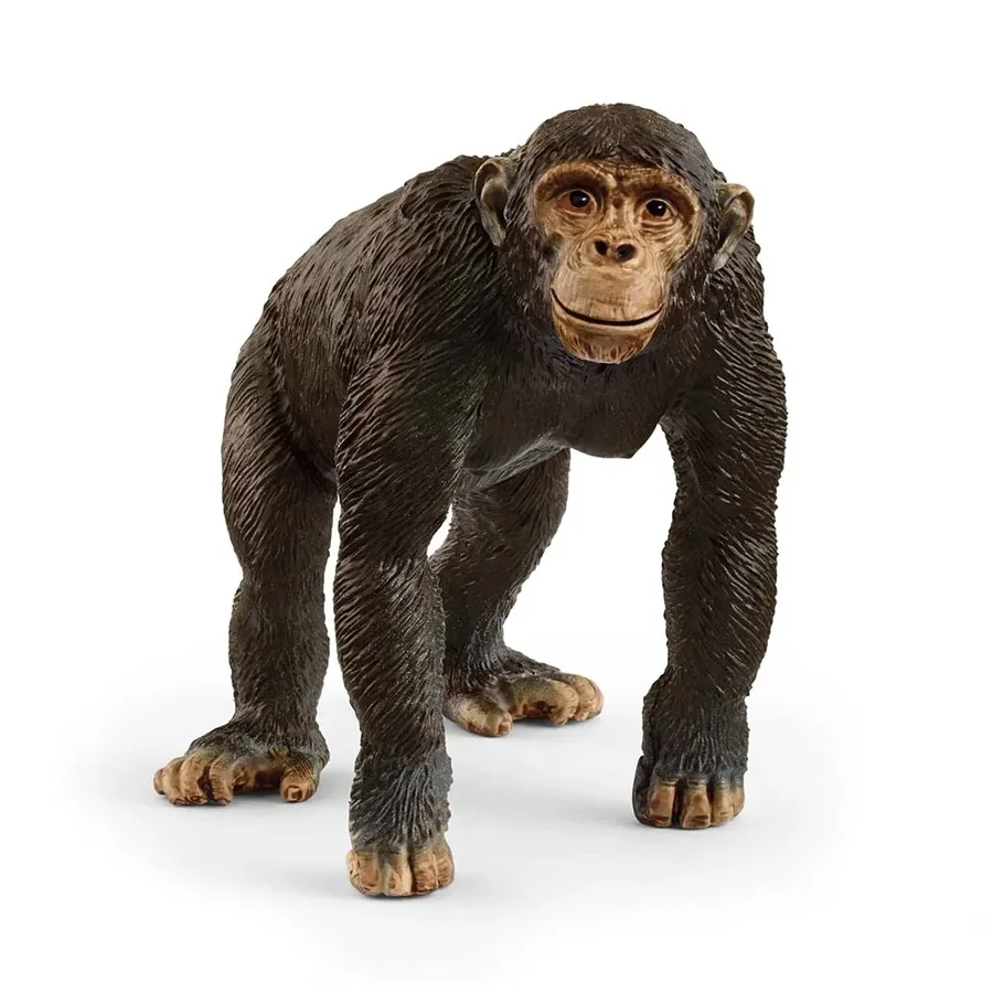Schleich chimpanse