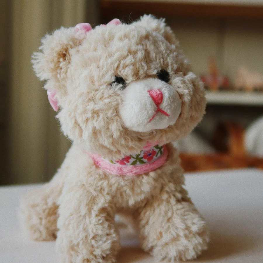 Konges Sløjd Aktivitets Kat