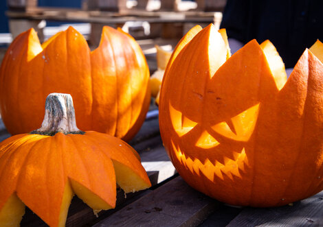 CMS billede alt tekst