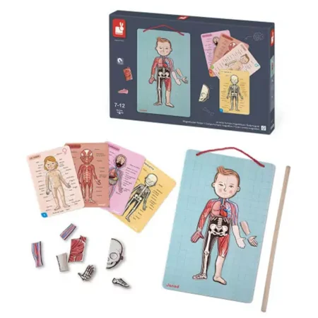 Janod Magnetspiel Körper