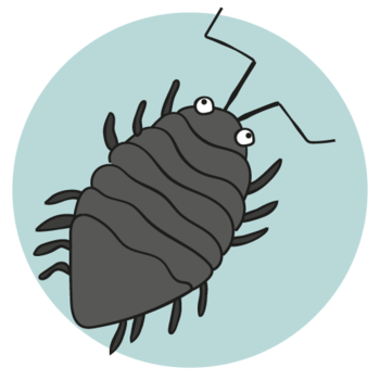 CMS billede alt tekst