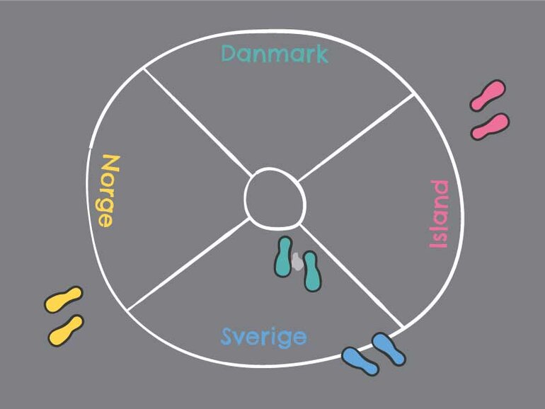 CMS billede alt tekst