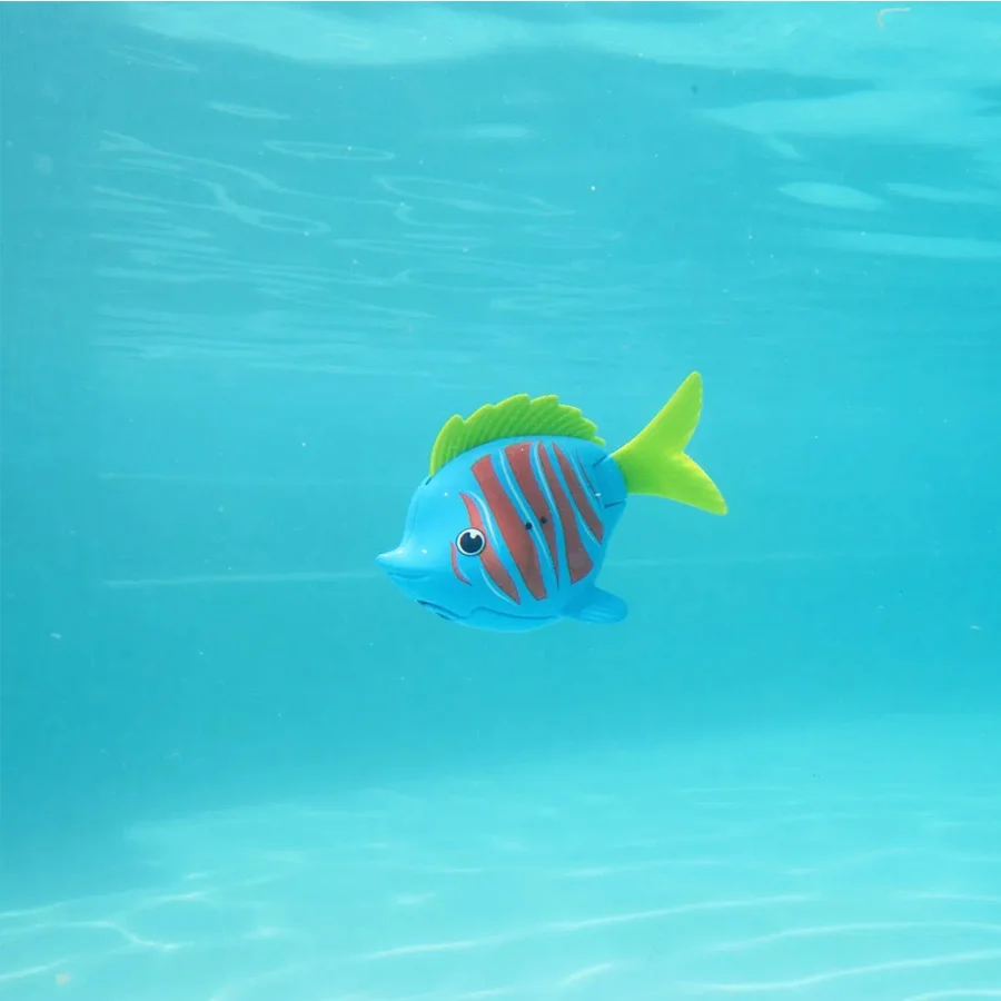 Rainbow Reef, beta fisk