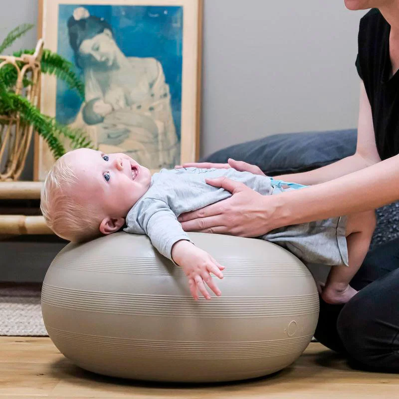bObles donut, Walnut